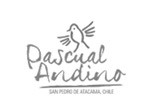 pascual-andino
